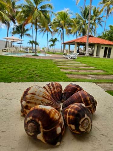 Se vendd casa en playa cangrejera frente al mar - Imagen 14