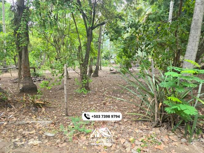 SE VENDEN TERRENOS CERCA DE LA PLAYA | CON FACILIDAD DE PAGOS - Imagen 9