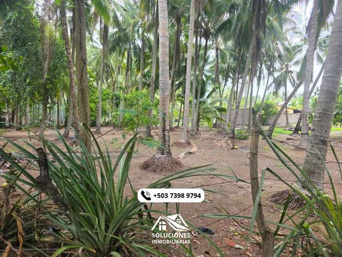 SE VENDEN TERRENOS CERCA DE LA PLAYA | CON FACILIDAD DE PAGOS - Imagen 6