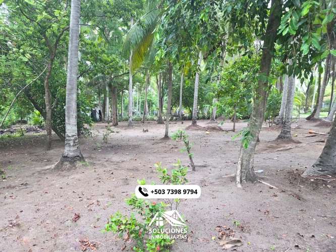 SE VENDEN TERRENOS CERCA DE LA PLAYA | CON FACILIDAD DE PAGOS - Imagen 7