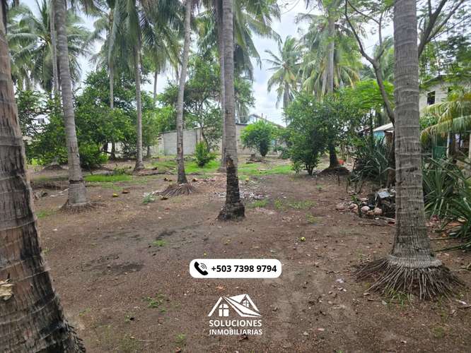 SE VENDEN TERRENOS CERCA DE LA PLAYA | CON FACILIDAD DE PAGOS - Imagen 4