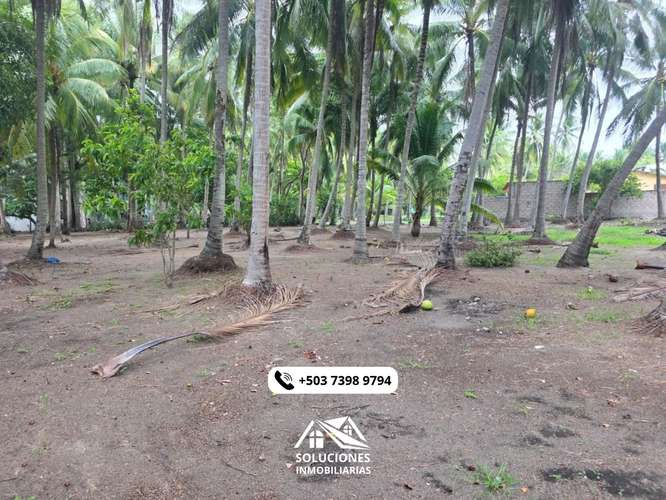 SE VENDEN TERRENOS CERCA DE LA PLAYA | CON FACILIDAD DE PAGOS - Imagen 6
