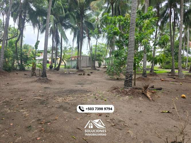 SE VENDEN TERRENOS CERCA DE LA PLAYA | CON FACILIDAD DE PAGOS - Imagen 8