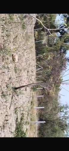 Vendo Lote en  la lotificasion el milagro 