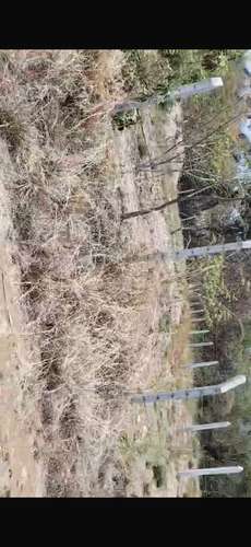 Vendo Lote en  la lotificasion el milagro 