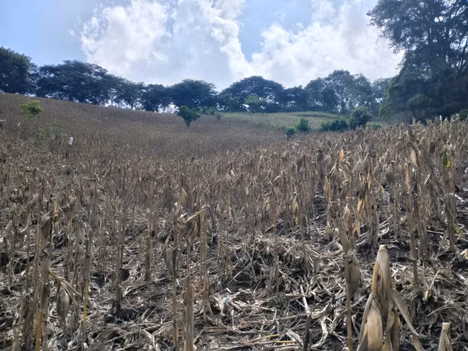 En venta 7MZ, en el cantón Copinol Primero Chinameca