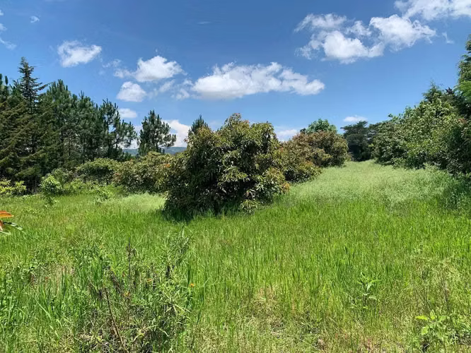Venta de terreno en Santa Tecla - Imagen 5