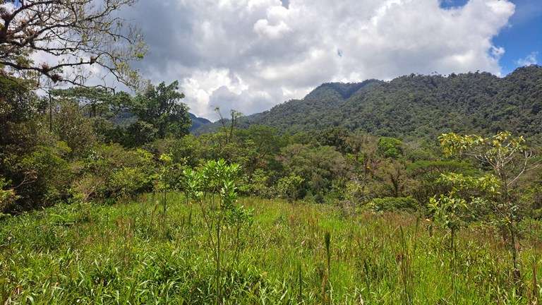 Venta de terreno en Santa Tecla - Imagen 3