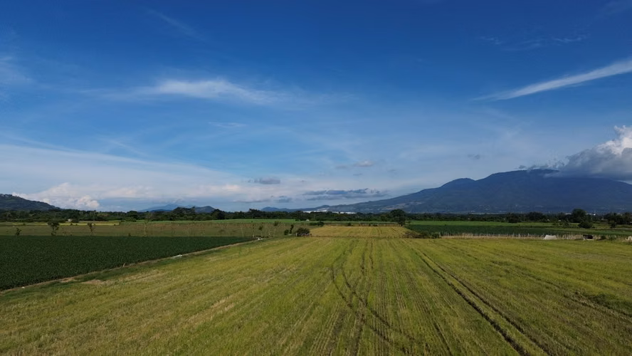  TERRENO EN VENTA | ZONA DE ZAPOTITÁN | 3.5 Mz Antes del  Desvio La Posa El Tigre entre Ríos La Libertad| $68 Mil x Mz - Imagen 6