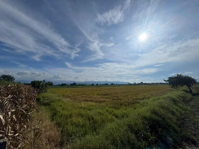  TERRENO EN VENTA | ZONA DE ZAPOTITÁN | 3.5 Mz Antes del  Desvio La Posa El Tigre entre Ríos La Libertad| $68 Mil x Mz - Imagen 4