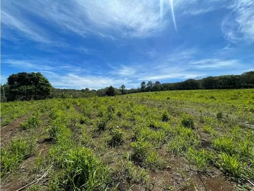 Venta de terreno en Santa Tecla - Imagen 4