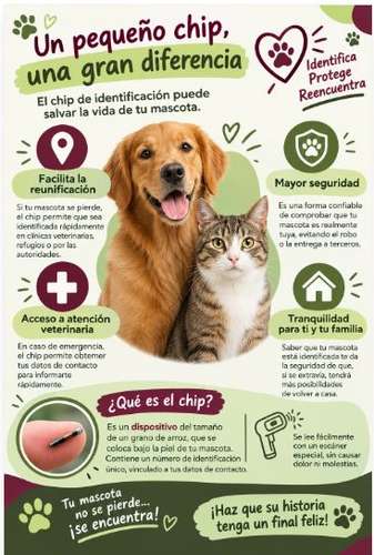  Chip para Mascotas