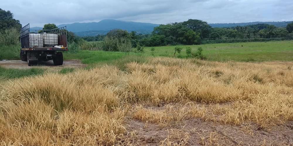 Venta de lotes a 1 minuto de el pueblo de san juan opico 