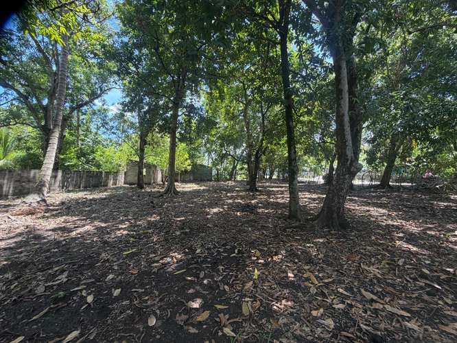 OPORTUNIDAD DE INVERSIÓN EN TERRENO CÉNTRICO  - Imagen 4
