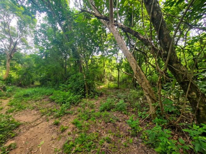 Terreno en venta en San Juan Opico, La libertad - Imagen 3
