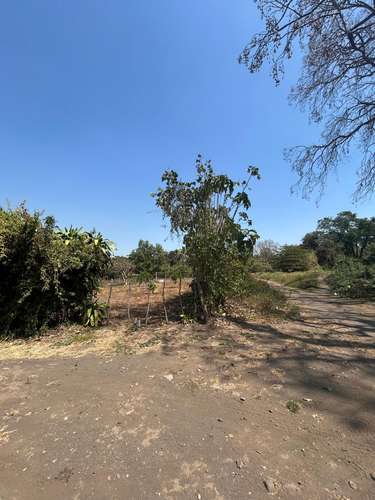 Venta de lote en San Juan Opico – Atras de Alas Doradas