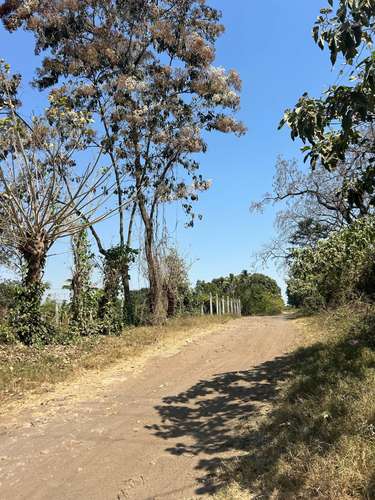 Venta de lote en San Juan Opico – Atras de Alas Doradas