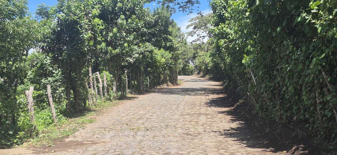 Se venden 3 parcelas en Alegria, Usulutan Norte - Imagen 3