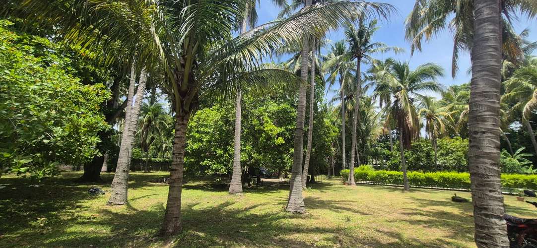 Venta de Rancho en Playa San Diego - Imagen 15