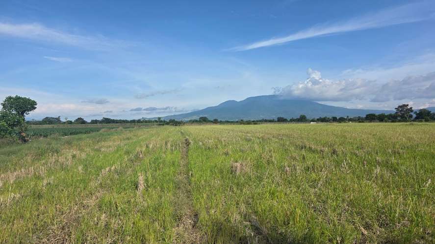 TERRENO EN VENTA | ZONA DE ZAPOTITÁN | 24,509 m2 | 3.5 Mz - Imagen 5