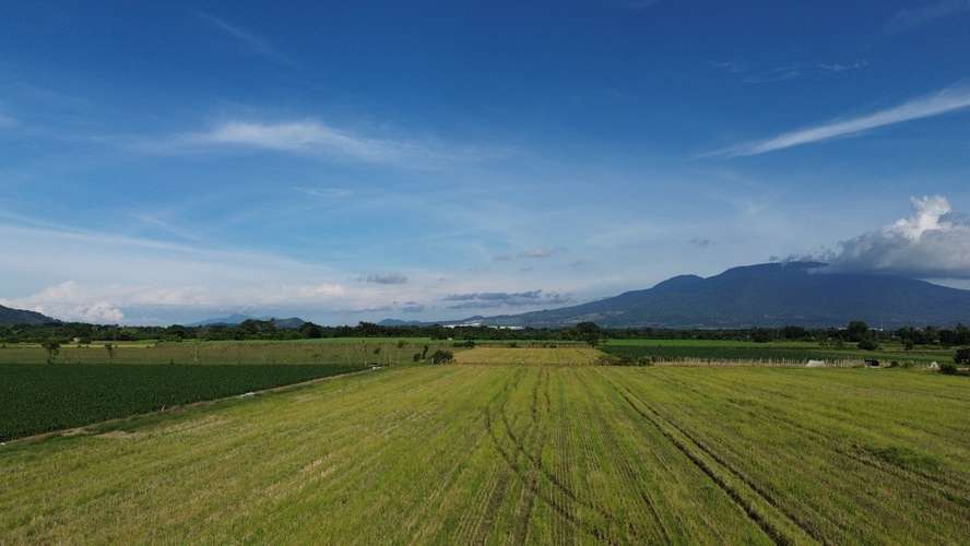 TERRENO EN VENTA | ZONA DE ZAPOTITÁN | 24,509 m2 | 3.5 Mz - Imagen 4