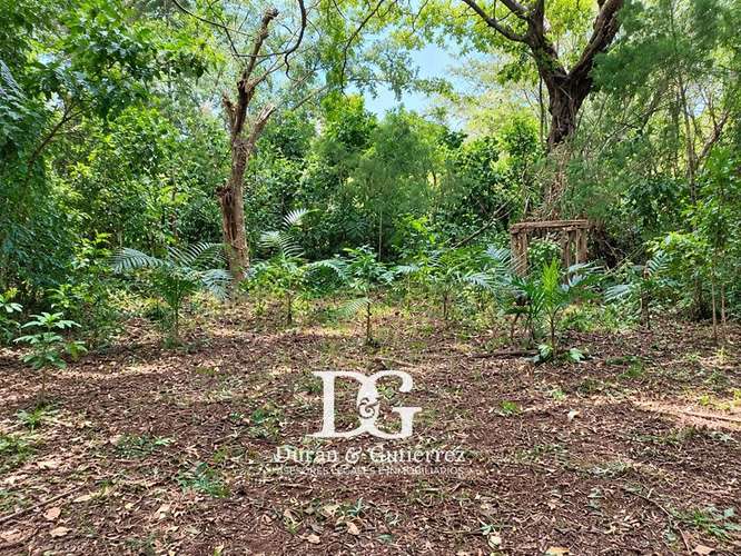VENDO TERRENO EN QUINTAS LA ESPERANZA, APANECA - Imagen 5