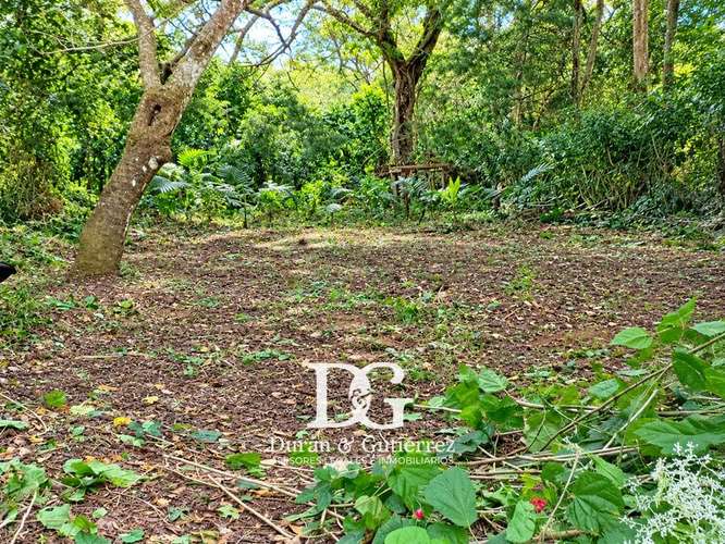 VENDO TERRENO EN QUINTAS LA ESPERANZA, APANECA - Imagen 4