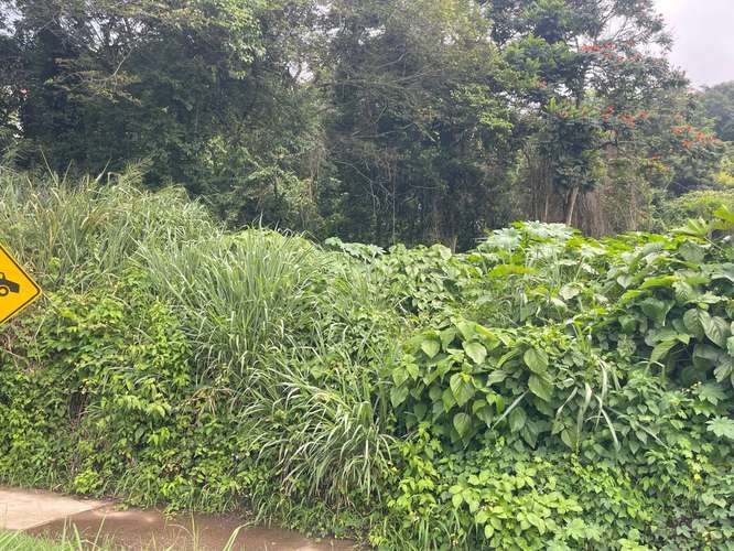 VENTA DE TERRENO EN CUMBRES DE LA ESMERALDA  - Imagen 4