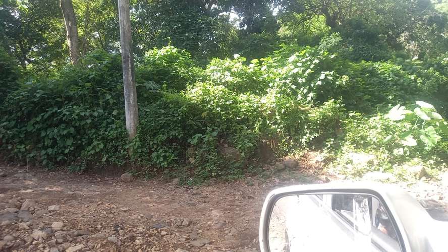 ¡ Terreno totalmente plano de 700 v² en San Antonio, Zacatecoluca. - Imagen 5