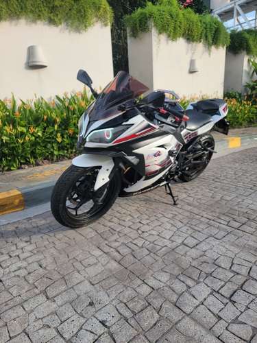 Kawasaki 300 - Imagen 2