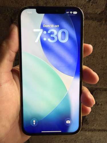 Vendo IPhone 12 Pro Max Gold de 256gb en Buen Estado LEER DESCRIPCIÓN 