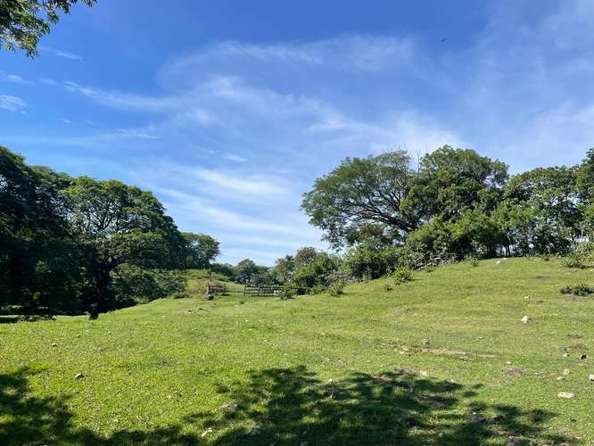 TERRENO EN VENTA EN SAN FRANCISCO EL DORADO, SAN ISIDRO, CABAÑAS, PARA CONSTRUIR LA CASA DE CAMPO QUE SOÑASTE  - Imagen 13