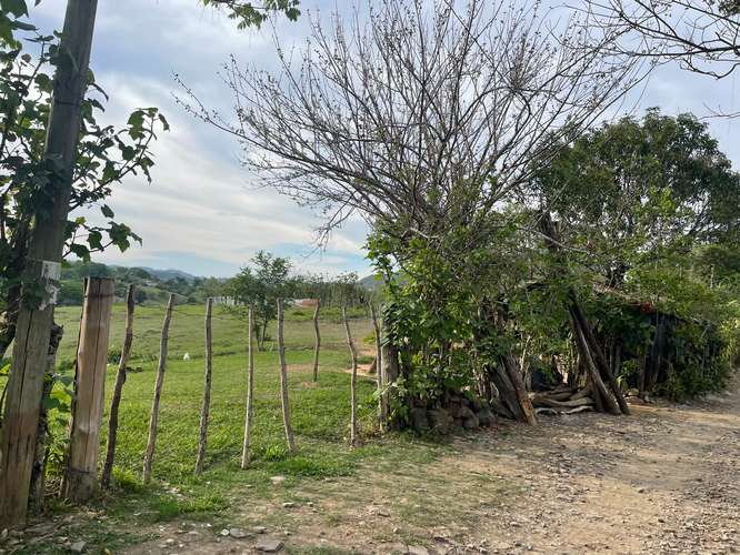  TERRENO EN VENTA EN SAN FRANCISCO EL DORADO, SAN ISIDRO, CABAÑAS, PARA CONSTRUIR LA CASA DE CAMPO QUE SOÑASTE  - Imagen 8