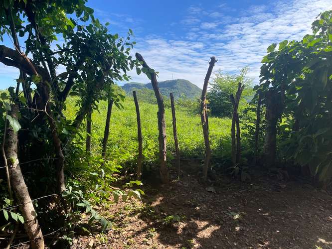  TERRENO EN VENTA EN SAN FRANCISCO EL DORADO, SAN ISIDRO, CABAÑAS, PARA CONSTRUIR LA CASA DE CAMPO QUE SOÑASTE  - Imagen 5