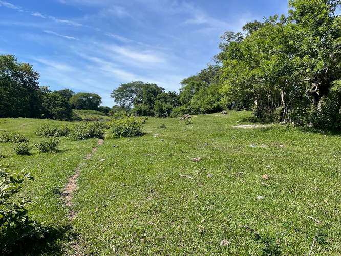  TERRENO EN VENTA EN SAN FRANCISCO EL DORADO, SAN ISIDRO, CABAÑAS, PARA CONSTRUIR LA CASA DE CAMPO QUE SOÑASTE 