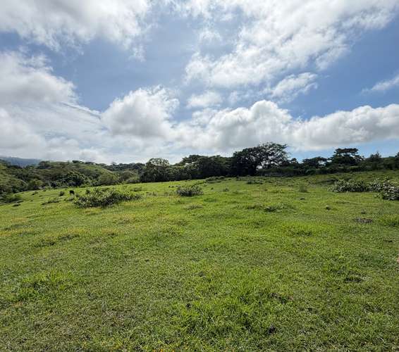  TERRENO EN VENTA EN SAN FRANCISCO EL DORADO, SAN ISIDRO, CABAÑAS, PARA CONSTRUIR LA CASA DE CAMPO QUE SOÑASTE  - Imagen 4