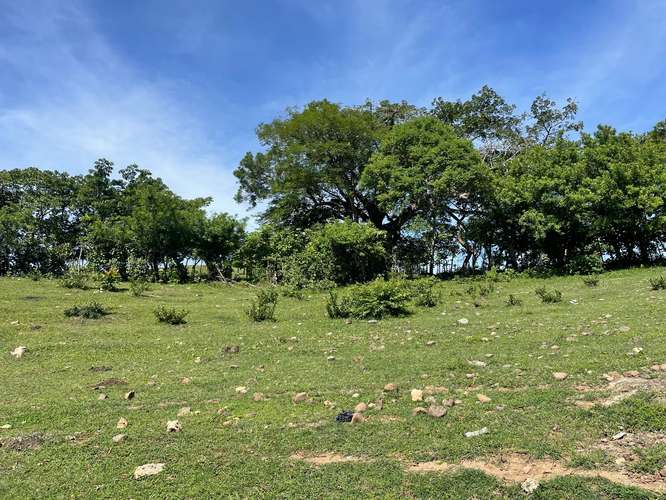  TERRENO EN VENTA EN SAN FRANCISCO EL DORADO, SAN ISIDRO, CABAÑAS, PARA CONSTRUIR LA CASA DE CAMPO QUE SOÑASTE  - Imagen 2