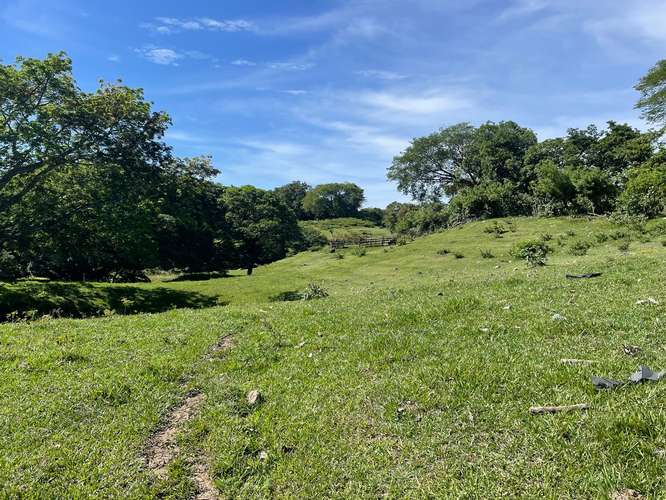  TERRENO EN VENTA EN SAN FRANCISCO EL DORADO, SAN ISIDRO, CABAÑAS, PARA CONSTRUIR LA CASA DE CAMPO QUE SOÑASTE  - Imagen 11