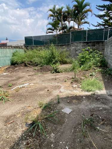 Terreno en madre selva zona embajada americana  - Imagen 3