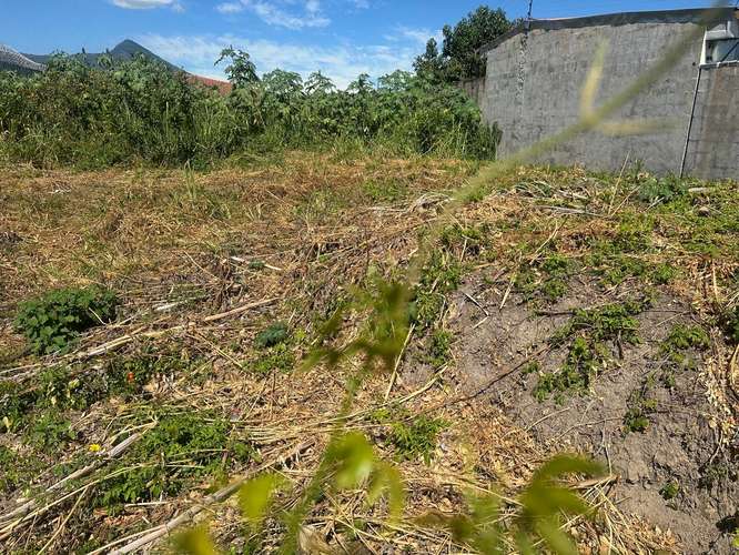 Terreno en cubres de Cuscatlan  - Imagen 3