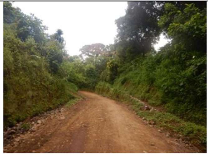 Venta de Finca de Una Manzana y media, Canton Zacamil, Chalchuapa