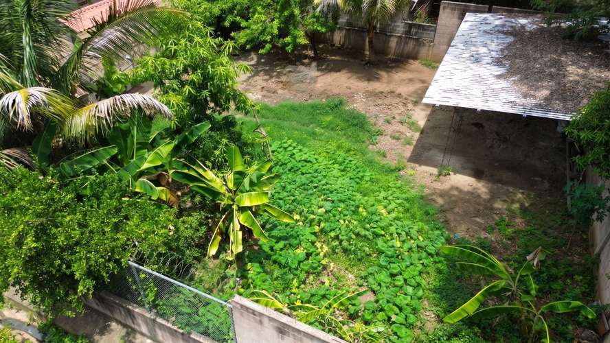 Terreno en Jiquilisco, Usulután| 525 v2 | 100% Plano | Construcción, Agua y Luz| $125k. - Imagen 7