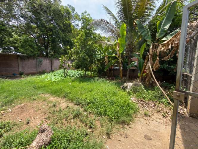 Terreno en Jiquilisco, Usulután| 525 v2 | 100% Plano | Construcción, Agua y Luz| $125k. - Imagen 5
