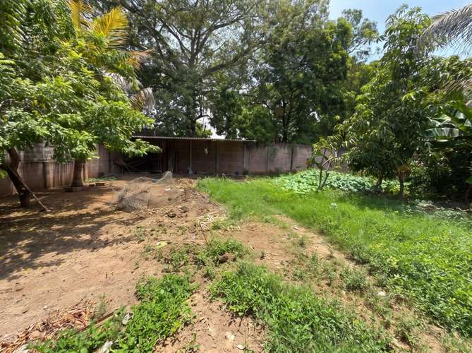 Terreno en Jiquilisco, Usulután| 525 v2 | 100% Plano | Construcción, Agua y Luz| $125k. - Imagen 4