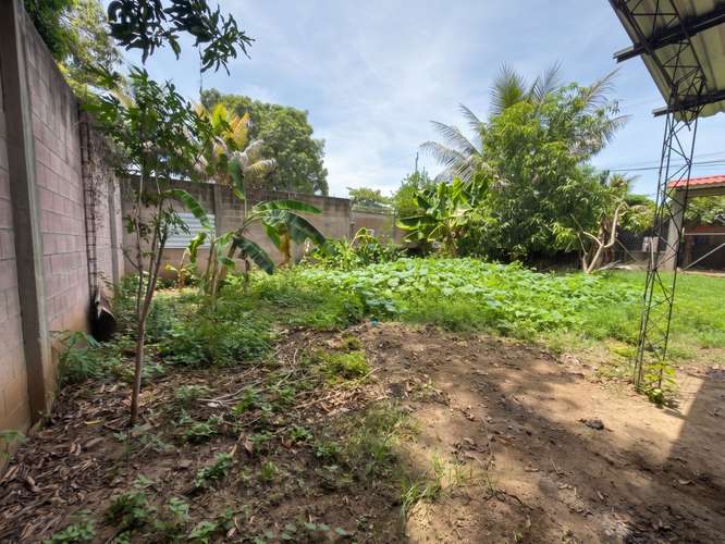 Terreno en Jiquilisco, Usulután| 525 v2 | 100% Plano | Construcción, Agua y Luz| $125k. - Imagen 6