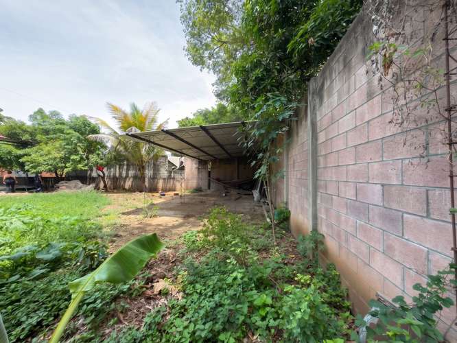Terreno en Jiquilisco, Usulután| 525 v2 | 100% Plano | Construcción, Agua y Luz| $125k. - Imagen 3