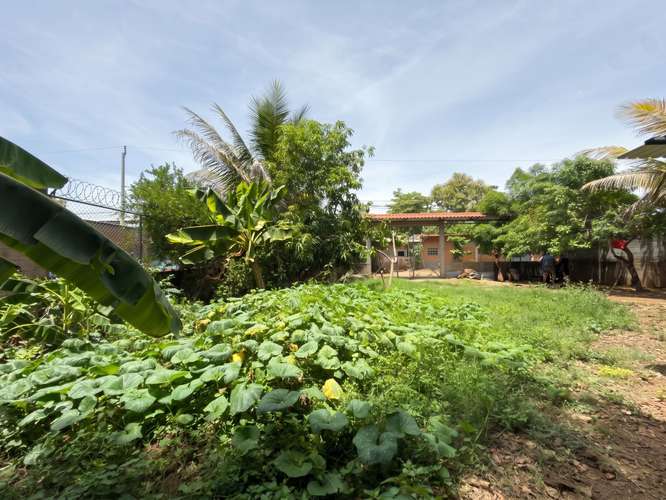 Terreno en Jiquilisco, Usulután| 525 v2 | 100% Plano | Construcción, Agua y Luz| $125k.