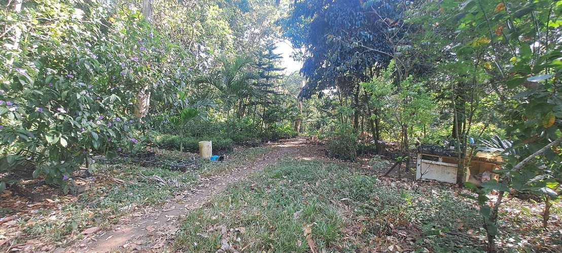 Terreno en Venta en Zapotitlán, Ciudad Arce