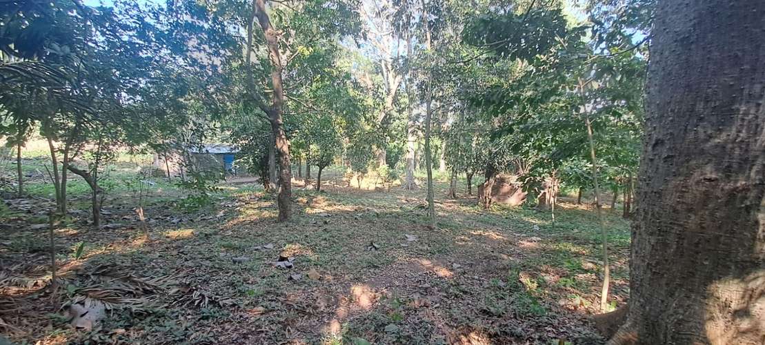 Terreno en Venta en Zapotitlán, Ciudad Arce