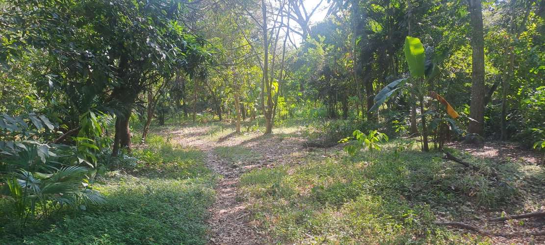 Terreno en Venta en Zapotitlán, Ciudad Arce